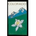 COLORADO WITH COLUMBINE PIN